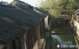 白色森林逃脱